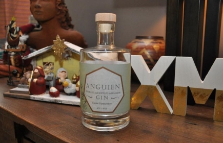 À boire avec modération, le gin d’Anguien est une belle idée de cadeau à mettre sous le sapin des amateurs. ÉdA 
